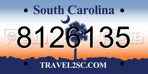 8126135 South Carolina License Plate