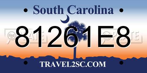 81261E8 South Carolina License Plate