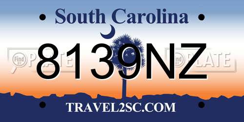8139NZ South Carolina License Plate