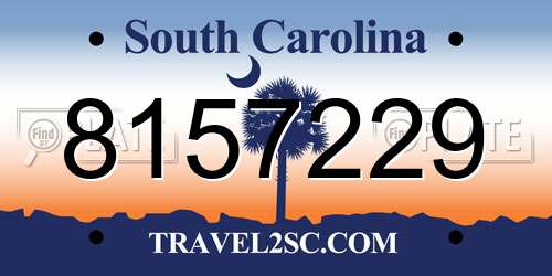 8157229 South Carolina License Plate
