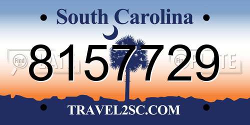 8157729 South Carolina License Plate