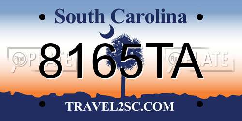 8165TA South Carolina License Plate