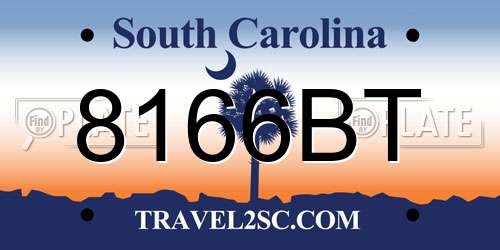 8166BT South Carolina License Plate