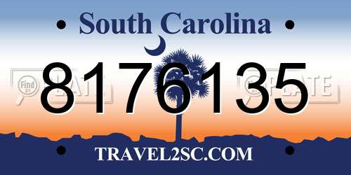 8176135 South Carolina License Plate