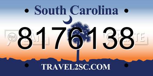 8176138 South Carolina License Plate