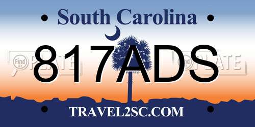 817ADS South Carolina License Plate
