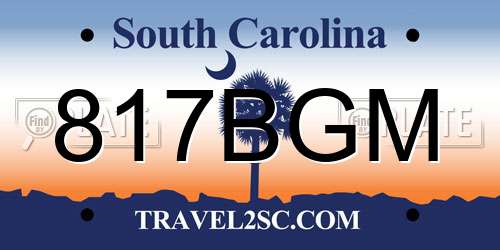 817BGM South Carolina License Plate