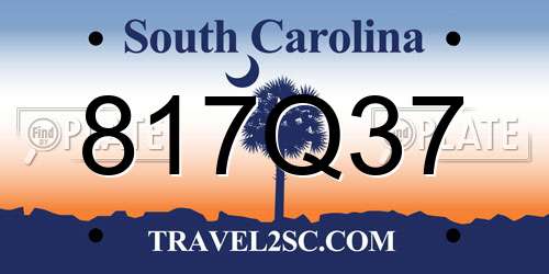 817Q37 South Carolina License Plate