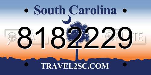 8182229 South Carolina License Plate