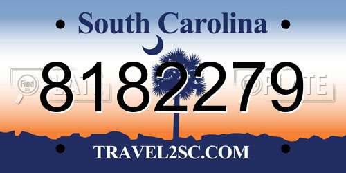 8182279 South Carolina License Plate
