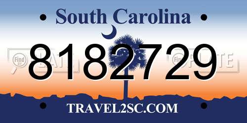 8182729 South Carolina License Plate