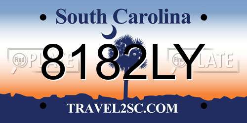8182LY South Carolina License Plate