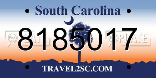 8185017 South Carolina License Plate