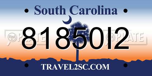 81850I2 South Carolina License Plate