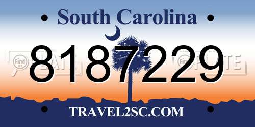 8187229 South Carolina License Plate