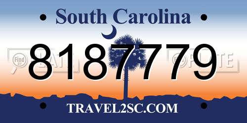 8187779 South Carolina License Plate