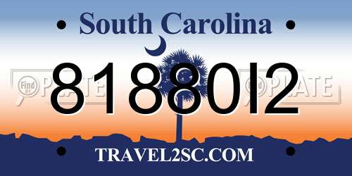 81880I2 South Carolina License Plate