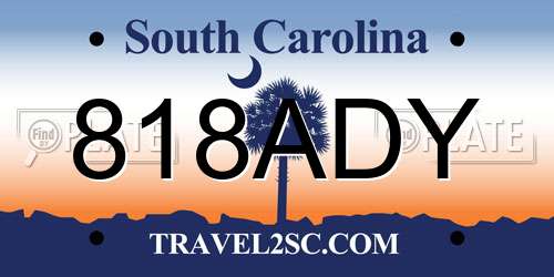 818ADY South Carolina License Plate