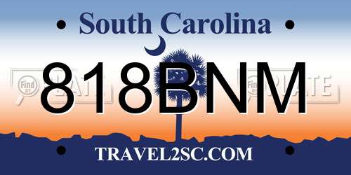 818BNM South Carolina License Plate