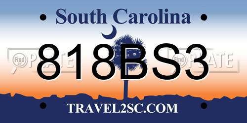818BS3 South Carolina License Plate