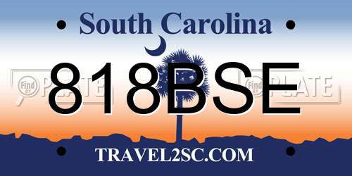 818BSE South Carolina License Plate