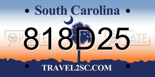 818D25 South Carolina License Plate