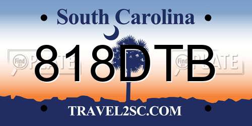 818DTB South Carolina License Plate