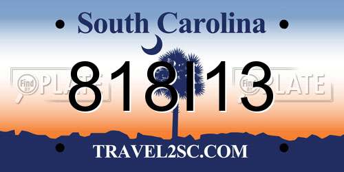 818I13 South Carolina License Plate