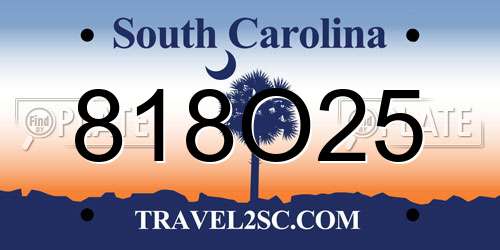 818O25 South Carolina License Plate