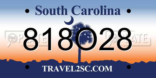 818O28 South Carolina License Plate