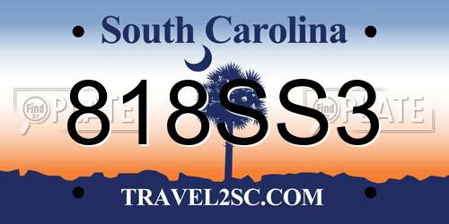 818SS3 South Carolina License Plate