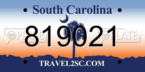 819021 South Carolina License Plate