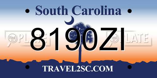 8190ZI South Carolina License Plate
