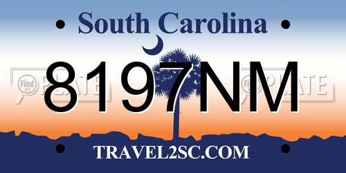 8197NM South Carolina License Plate
