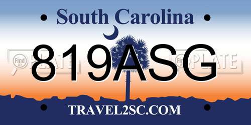 819ASG South Carolina License Plate