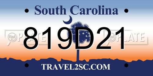 819D21 South Carolina License Plate