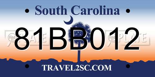 81BB012 South Carolina License Plate