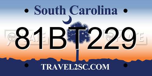 81BT229 South Carolina License Plate