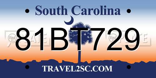 81BT729 South Carolina License Plate