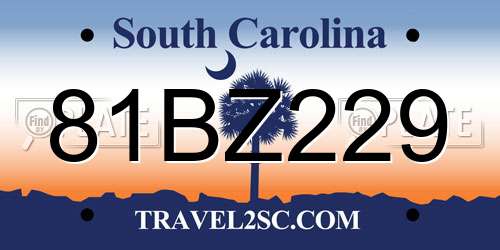 81BZ229 South Carolina License Plate
