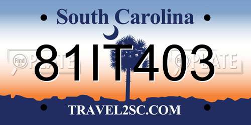 81IT403 South Carolina License Plate