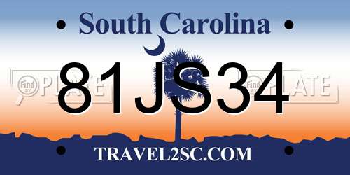 81JS34 South Carolina License Plate