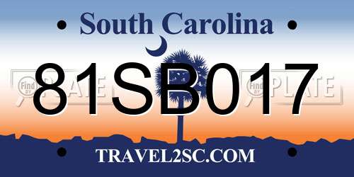 81SB017 South Carolina License Plate