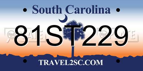 81ST229 South Carolina License Plate