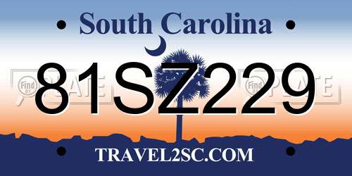 81SZ229 South Carolina License Plate