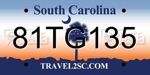 81TG135 South Carolina License Plate