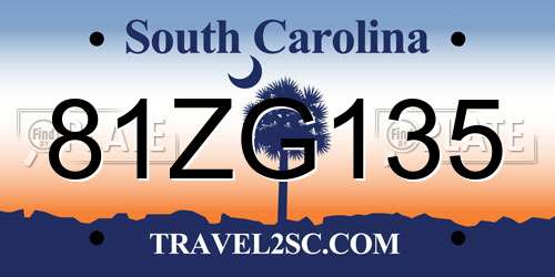 81ZG135 South Carolina License Plate
