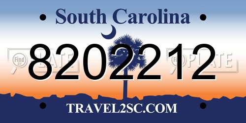 8202212 South Carolina License Plate