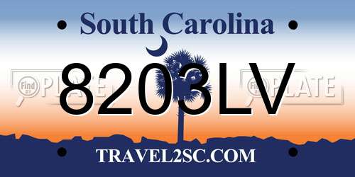 8203LV South Carolina License Plate