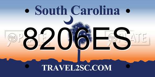 8206ES South Carolina License Plate
